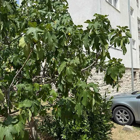 Oskar & Ella Apartman Mostar