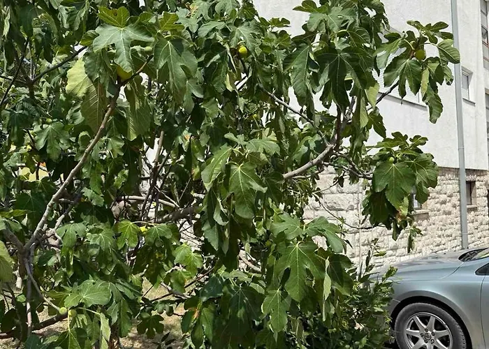 Oskar & Ella Apartment Mostar